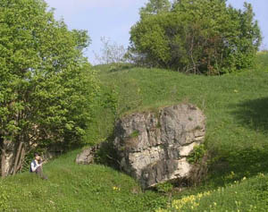 скалы возле Лисьих Нор