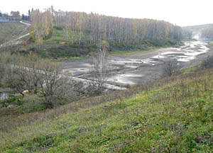 водохранилище возле Осетровского лесничества