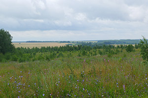 край Рязанской области